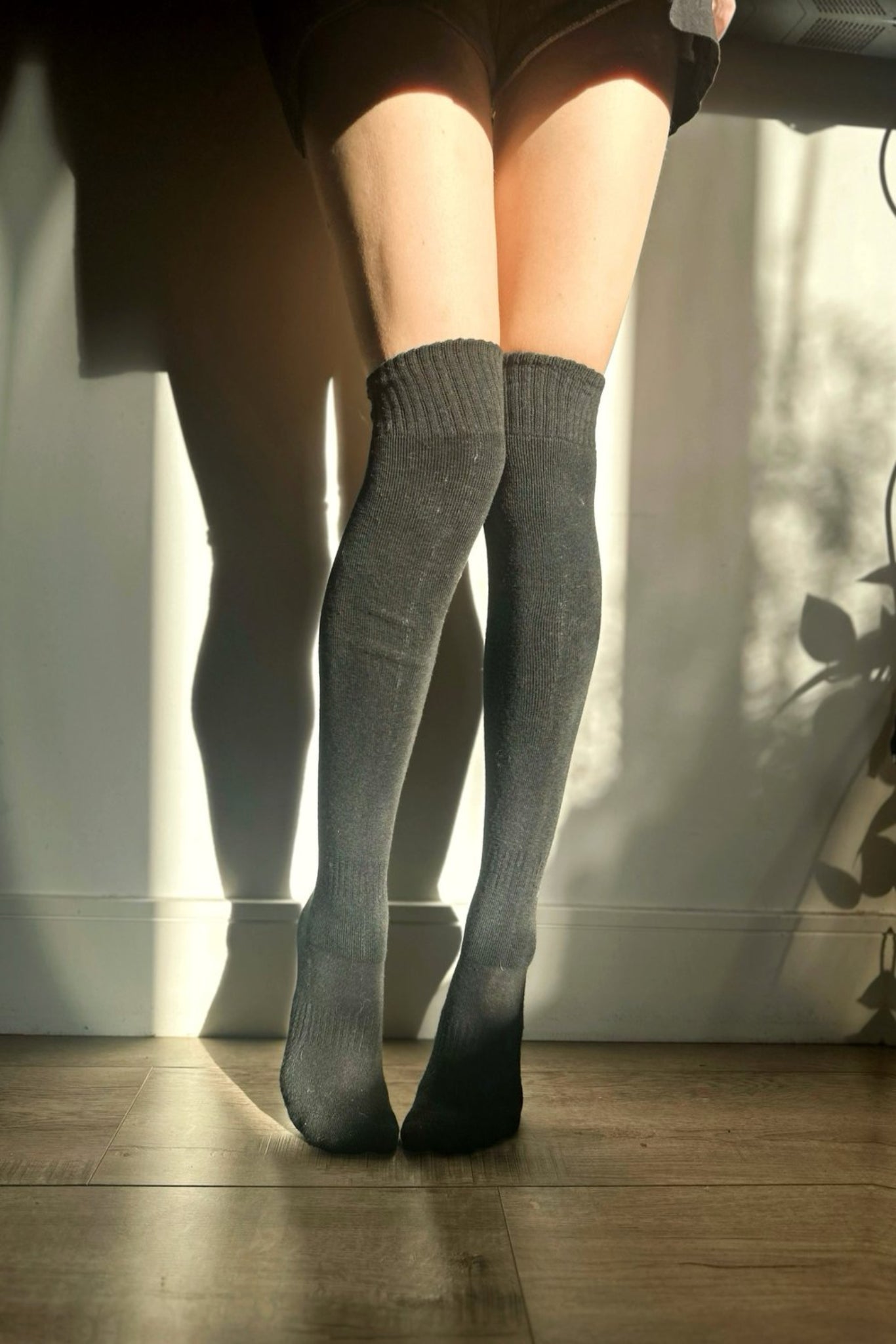 Socks - The Sock Factory